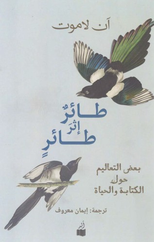 طائر اثر طائر